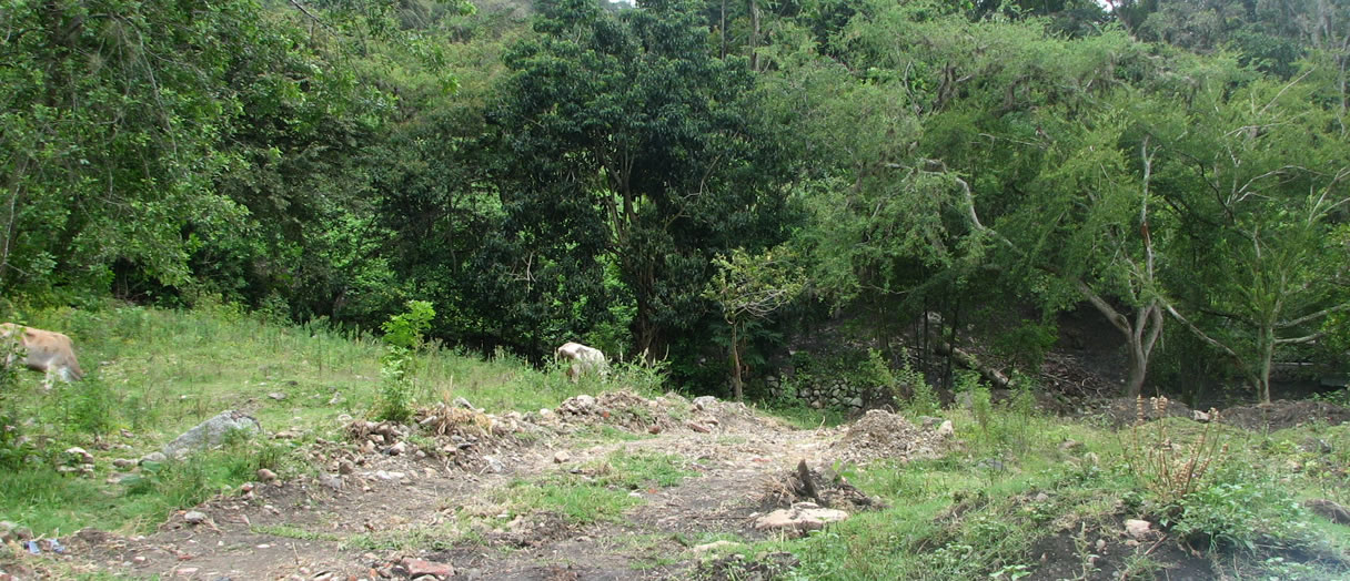 Dise Os Para El Plan Maestro De Acueducto Y Alcantarillado Para El